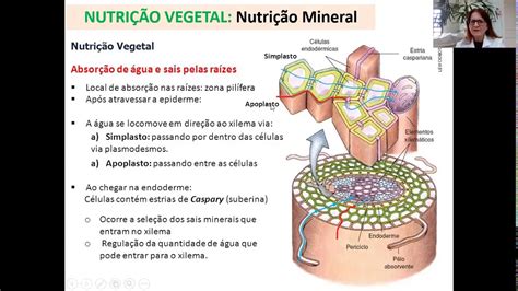 Fisiologia nutrição e condução 1 YouTube