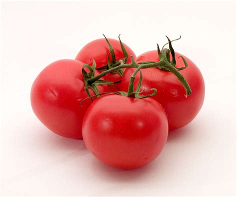 Tomatoes Free Stock Photo Red Tomatoes Isolated On A White