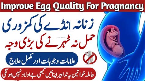 Egg Quality Kaise Improve Kare In Urdu Poor Egg Quality Treatment