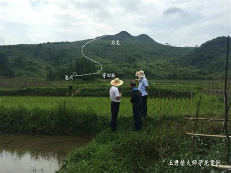 风水名穴蜘蛛下田形，看看杨公风水大师王君植如何寻龙点穴、贵州看风水水田