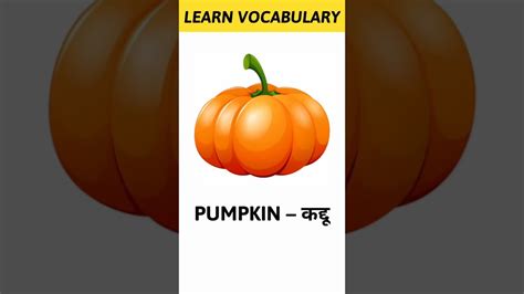 Pumpkin Meaning In Hindi Learn Vocabulary Shorts Youtube