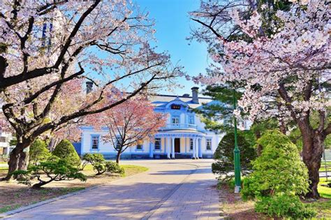 四季折々の雄大な自然景観を満喫！北海道の絶景スポット17選 Good Luck Trip