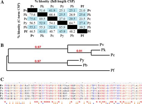 Amino acid sequence alignment of full-length and C-terminal regions of ... 