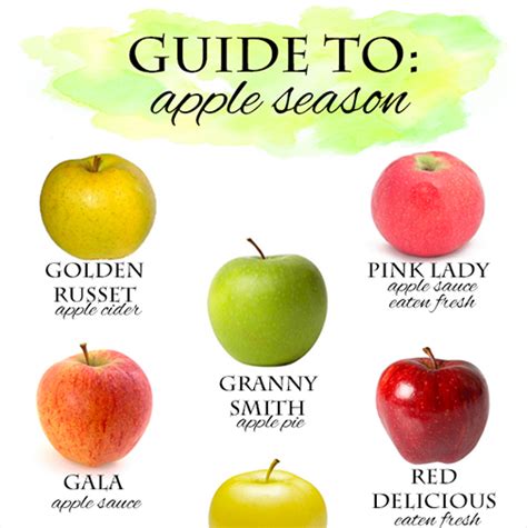 Guide To Apple Season Nutrition By Mia