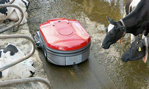 Revolutionary Manure Robot For Dense Barn Floors