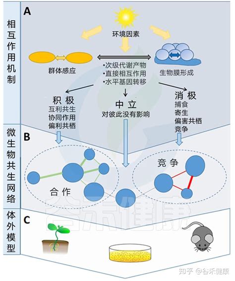 微生物群和微生物组有区别吗本文带你详细了解它们的前世今生 知乎