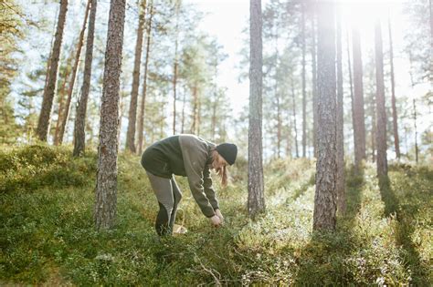 S Undviker Du Att Bli Ihj Lk Rd Av En B Rgningsbil Allt Om Jakt Vapen