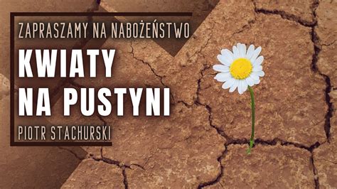 Nabo E Stwo Kwiaty Na Pustyni Piotr Stachurski Youtube