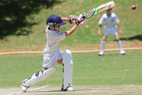 Cricket Bat Photos Download The Best Free Cricket Bat Stock Photos