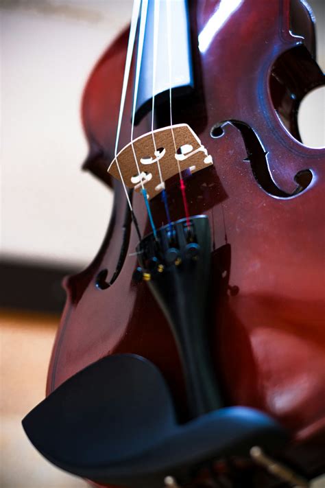 How To Choose Violin Strings The Long Island Violin Shop