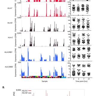 Macrophage Related Function Of Candidate IBD Susceptibility Genes