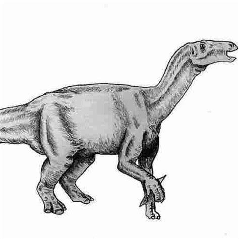 Lurdusaurus Pictures & Facts - The Dinosaur Database