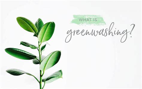 5 Greenwashing Examples And How To Avoid Them In Your Brand