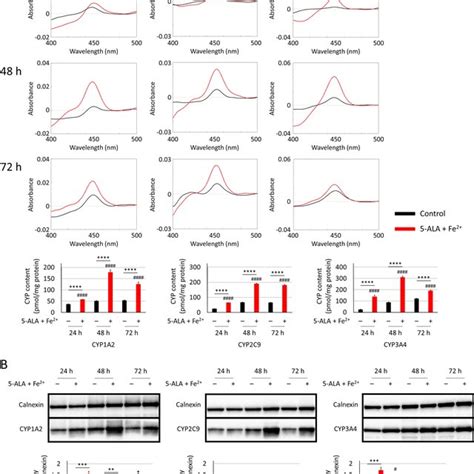 Transfection Efficiency Comparison Of Various Transfection Reagents