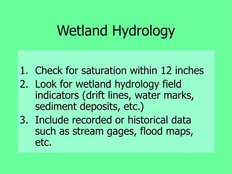 PPT An Overview Of Wetland Delineation PowerPoint Presentation Free