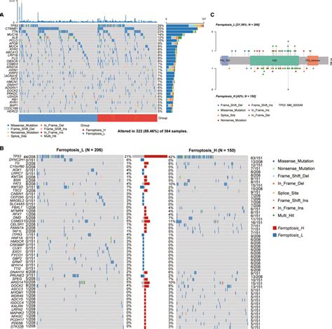 The Mutation Signature Profile Of Hcc The Plots Showed The Tmb