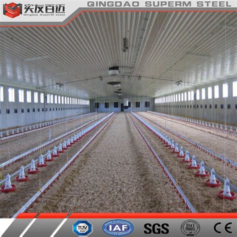 China Design Steel Structure Building Layer Chicken House Poultry Farm