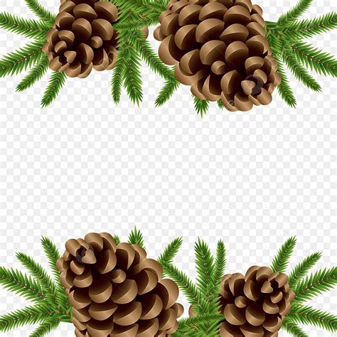 Christmas Pine Cone Clipart Vector Christmas Tree Branch And Pine Cone