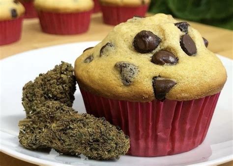 Top 5 Cannabis Dessert Recipes - Dagga Seeds