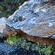 Mexican Beach Pebble Black Buttons Southwest Boulder Stone