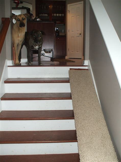 The Best Ideas for Diy Dog Ramp for Stairs - Home, Family, Style and ...