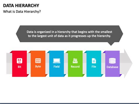 Data Hierarchy PowerPoint and Google Slides Template - PPT Slides