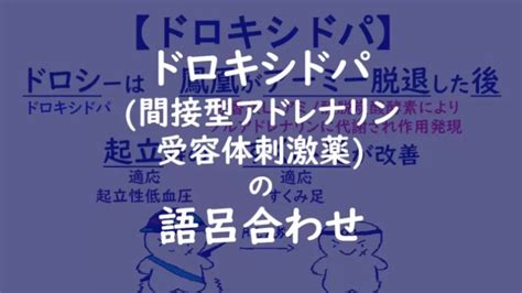 薬理学 ゴロ 神経筋接合部遮断薬 末梢性筋弛緩薬 の語呂合わせ ゴリ薬