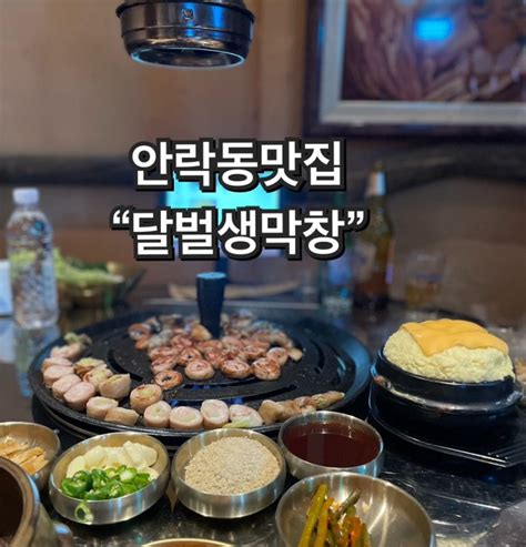 안락동 맛집 달벌생막창 인스타핫플 파막창구이 네이버 블로그