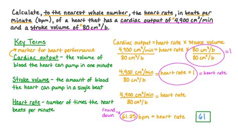 How To Measure Stroke Volume And Cardiac Output Best Home Design Ideas