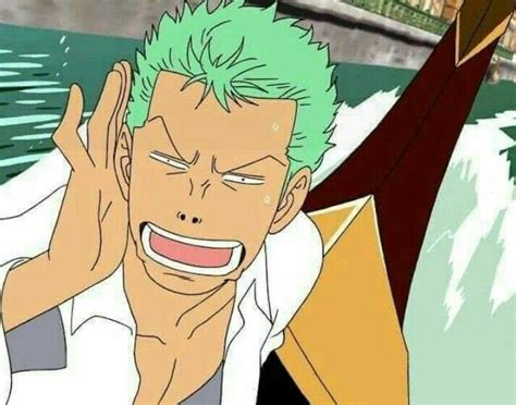 Pin by RoRoNoa zoro ♥ (anime one piec on RORONOA ZORO | Roronoa zoro ...