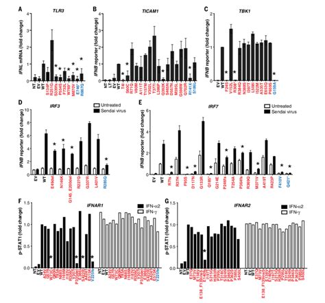 Impact Of Tlr Ticam Tbk Irf Irf Ifnar And Ifnar Variants