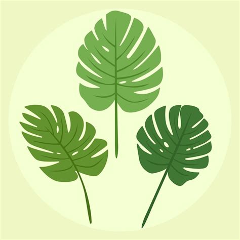 premium vector split leaf palm leaves summer decoration plants