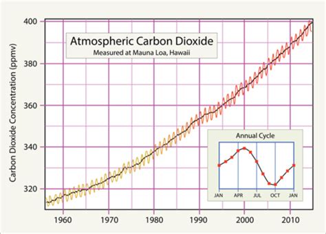 Global Warming ( Real World ) | Earth Science | CK-12 Foundation