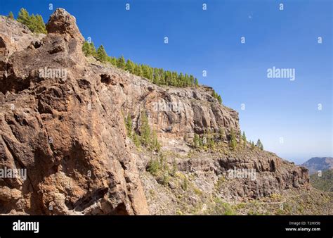 Gran Canaria March View From An Old Hiking Path Camino De La Plata