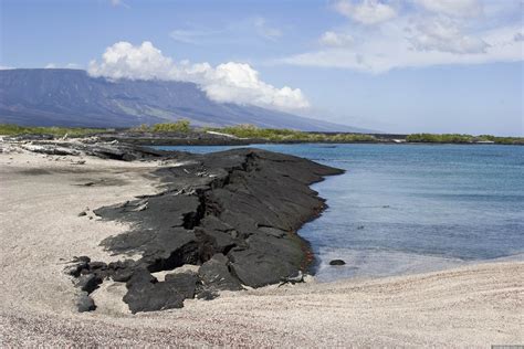 Fernandina Island Ecuador Blog About Interesting Places