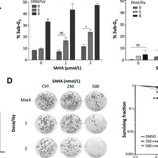 The Pan HDAC Inhibitor Vorinostat SAHA Downregulates FLIP And