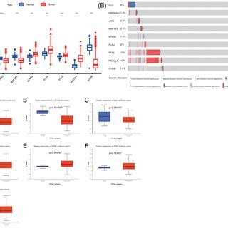 Box Plot Of The Differences In Immune Cell Infiltration Between