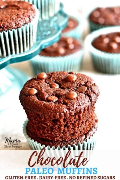 Paleo Chocolate Muffins Gluten Free Grain Free Dairy Free No Refined Sugar Mama Knows