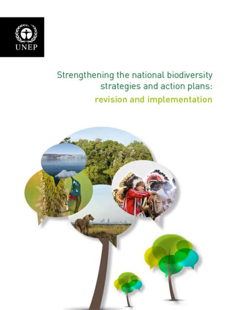 Strengthening The National Biodiversity Strategies And Action Plans