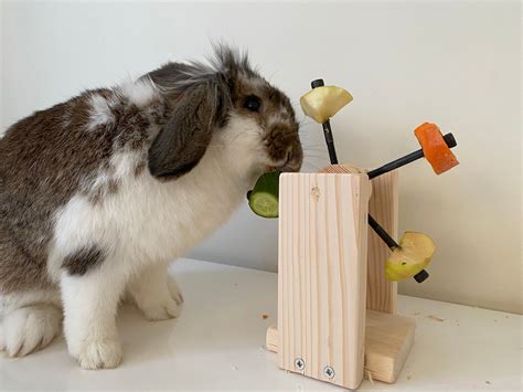 Diy Toys For Rabbits Artofit