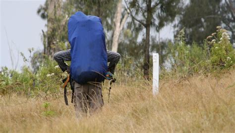 Mount Argo Puro Mountain Trekking