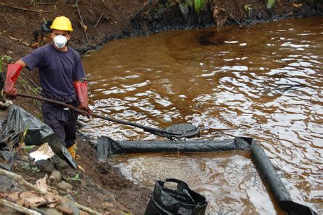 Citation - Amazon river pollution