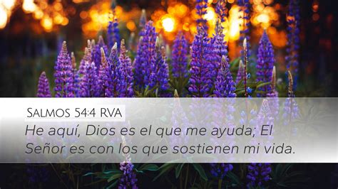 Salmos 54 4 RVA Desktop Wallpaper He aquí Dios es el que me ayuda