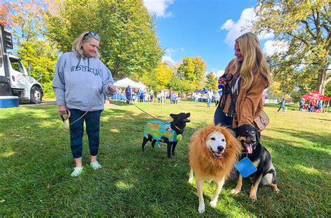 Happy Barktoberfest Annual Event At Asa Bales Park Benefits Humane