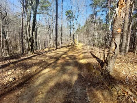 10 Best Off Road Driving Trails In North Carolina Alltrails