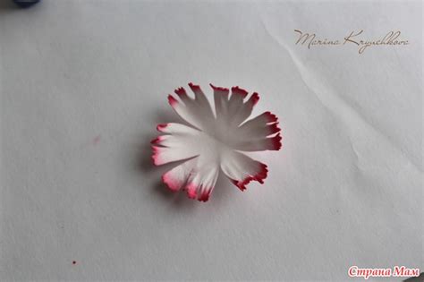 Гвоздика из фоамирана. Мастер-класс. - Фом и изделия из него - Страна Мам