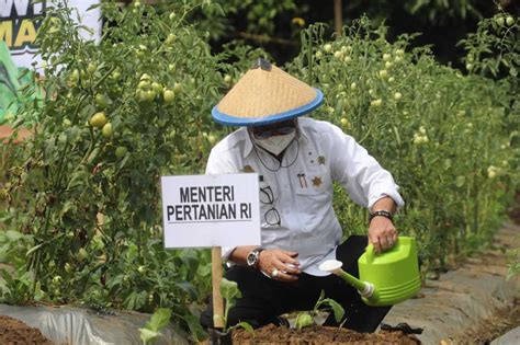 Akselerasi Pertanian Maju Mandiri Modern Kementan Dorong Penggunaan