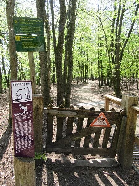 Ga Je Me Even Lekker Pijpen In Het Bos Telegraph