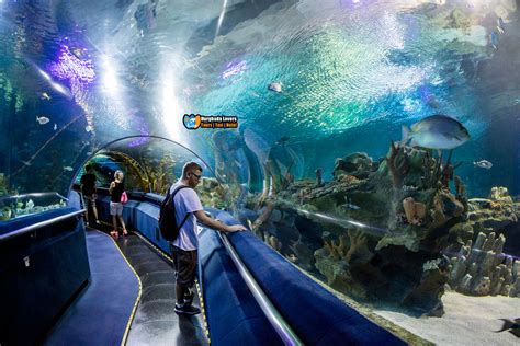 Grand Aquarium Tour Od Safaga Hotels Rezervace Levn Ceny Rezervace