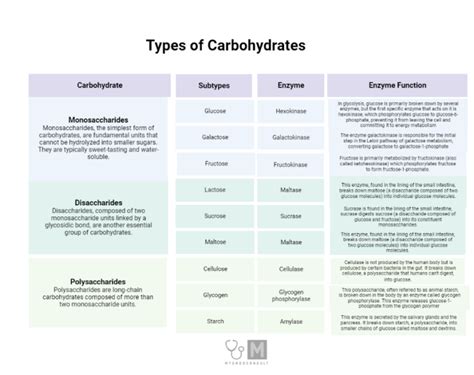 Types Of Carbohydrates My Endo Consult